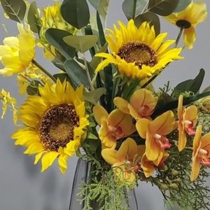 Meet your Posher, Winnie